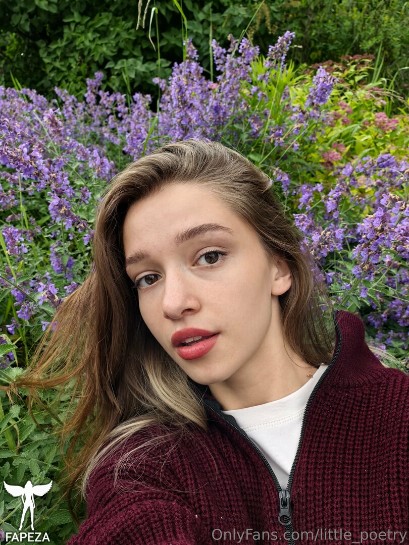 little_poetry